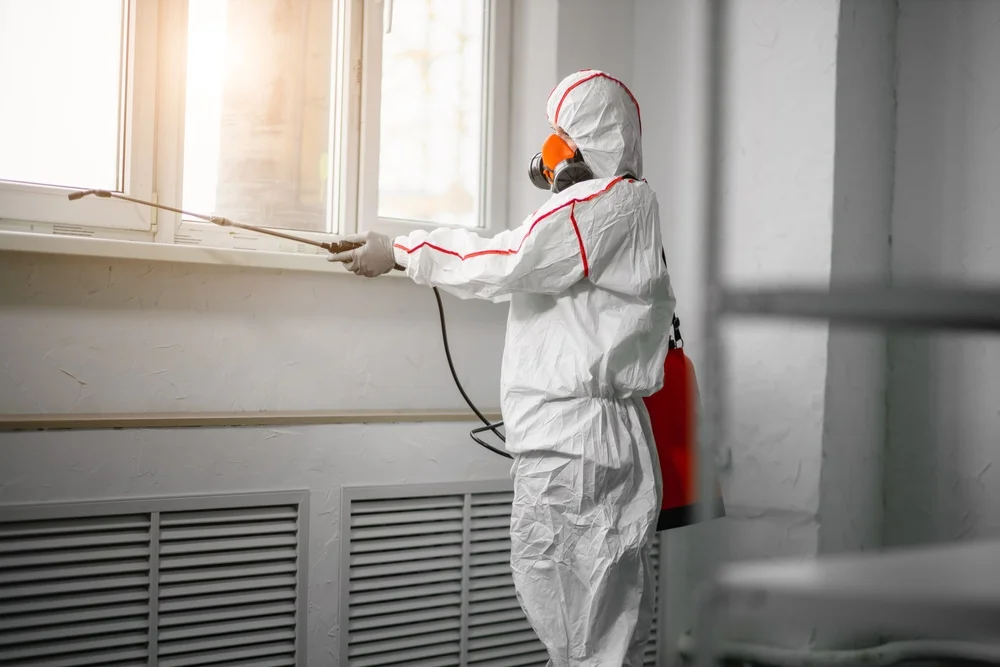 Professional mold remediation services in Kekaha, HI